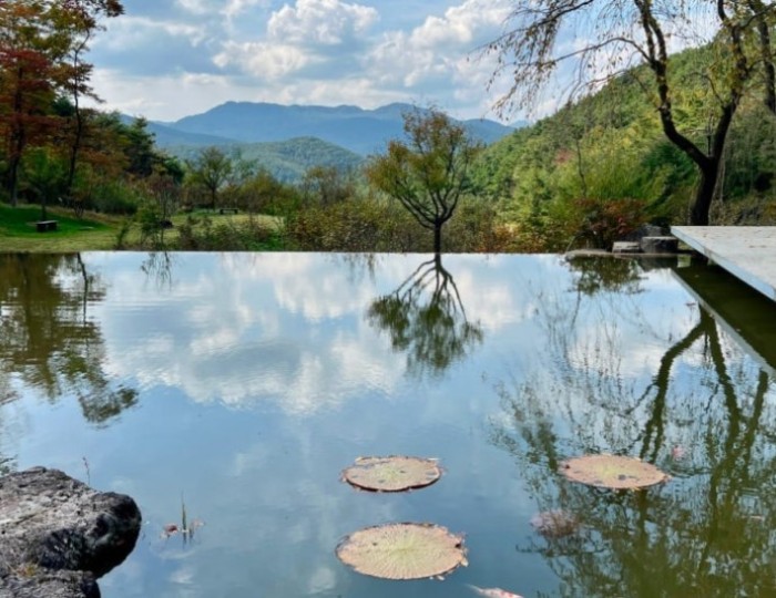 Discovering the Tranquil Beauty of Gunwi Sayuwon float