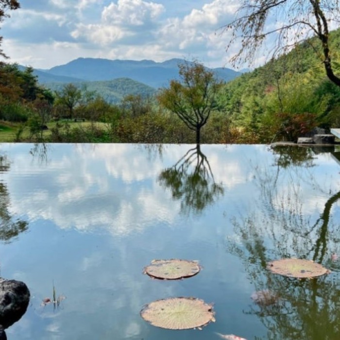 Discovering the Tranquil Beauty of Gunwi Sayuwon4984