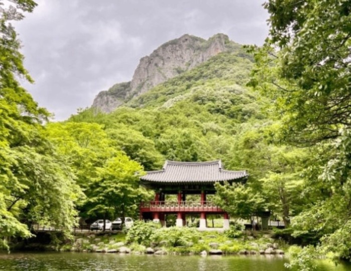 Exploring the Serenity of Jangseong Baegyangsa Temple float