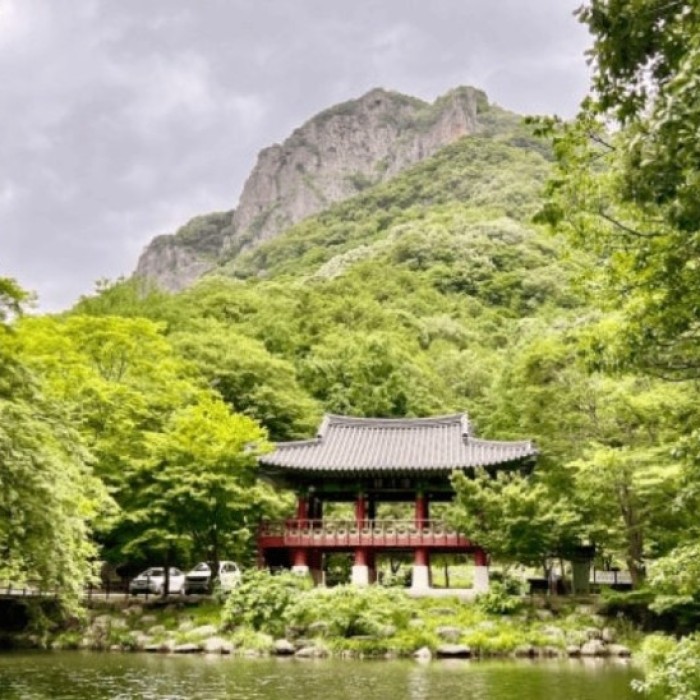 Exploring the Serenity of Jangseong Baegyangsa Temple4985