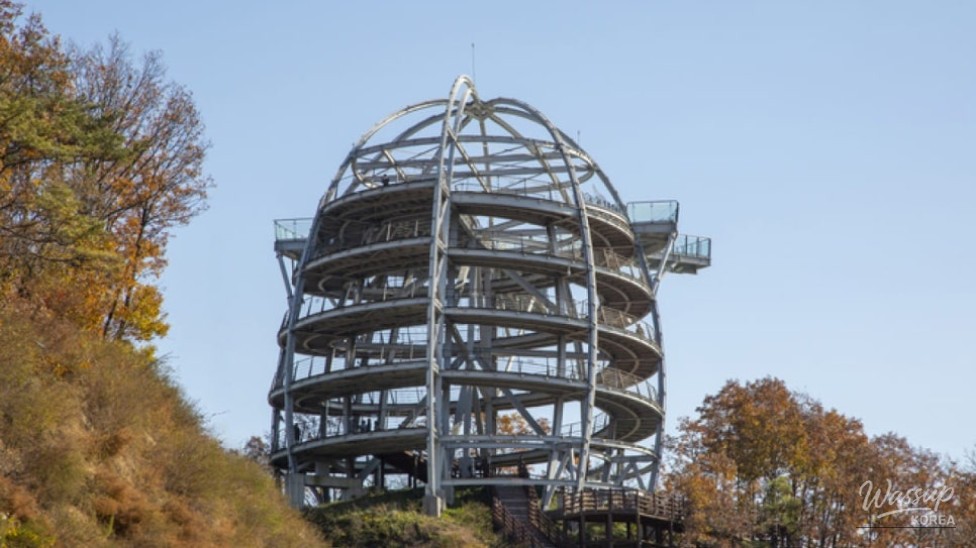 Discover the Thrills of Danyang Mancheonha Skywalk this Summer_04