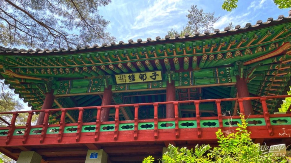 Discovering the Hidden Wonders of Taebaek Gumunso_03