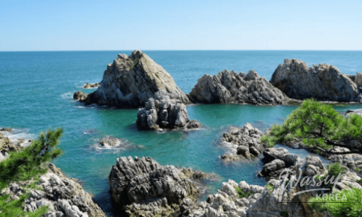 Discover Jecheon: A Perfect Summer Getaway_07