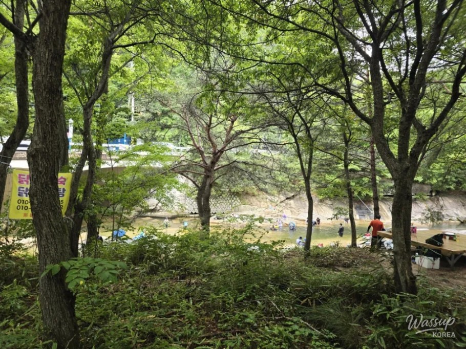 Summer Retreat at Sasendae Valley in Geochang_02