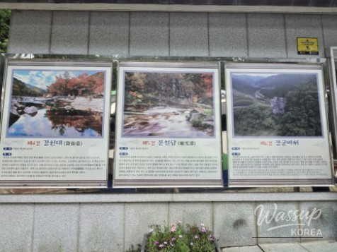 Summer Retreat at Sasendae Valley in Geochang_18