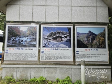 Summer Retreat at Sasendae Valley in Geochang_17