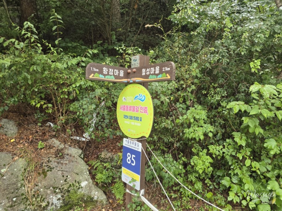 Summer Retreat at Sasendae Valley in Geochang_06