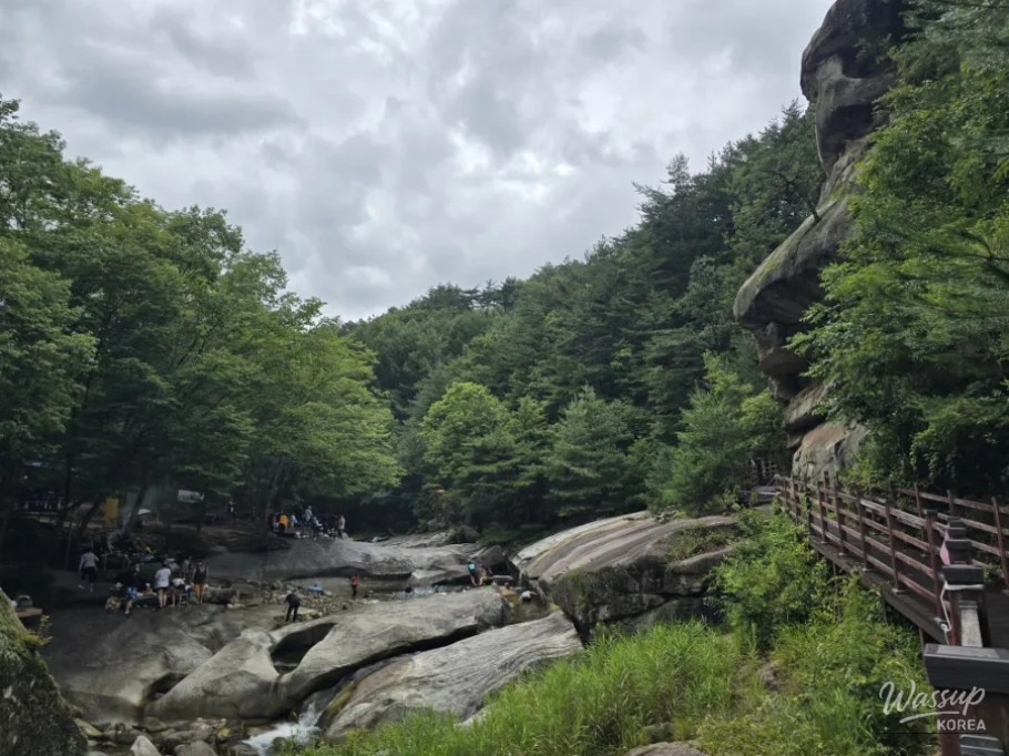 Summer Retreat at Sasendae Valley in Geochang_09