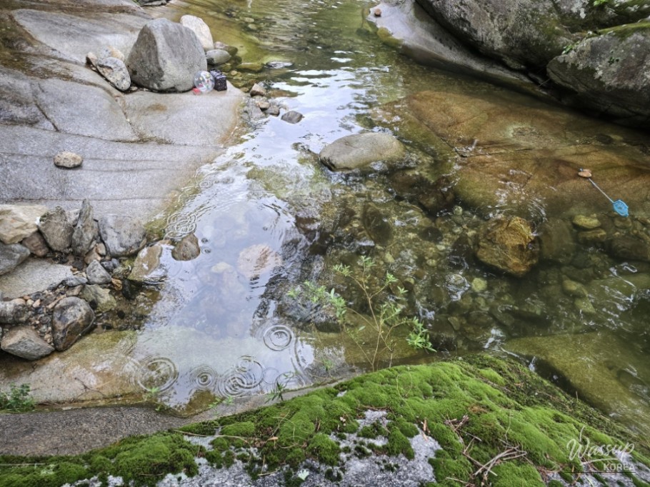 Summer Retreat at Sasendae Valley in Geochang_03