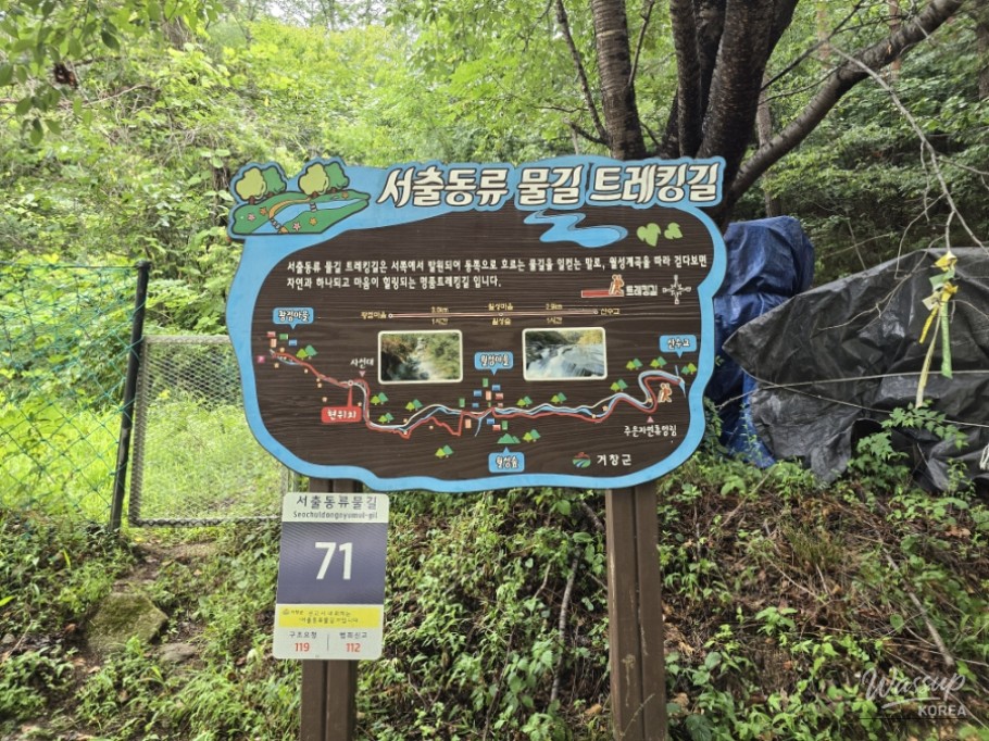 Summer Retreat at Sasendae Valley in Geochang_14