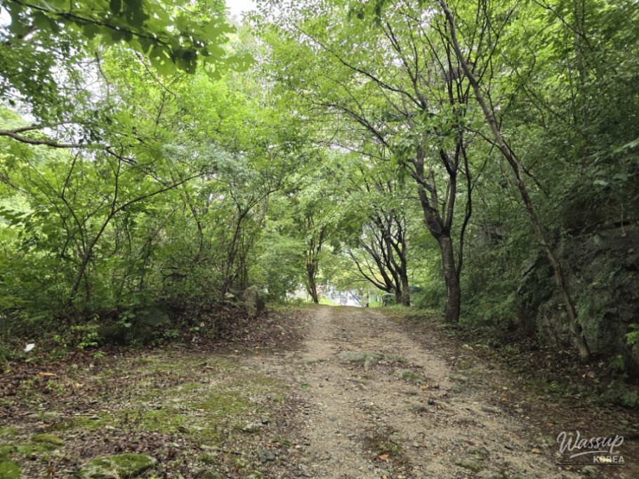 Summer Retreat at Sasendae Valley in Geochang_07