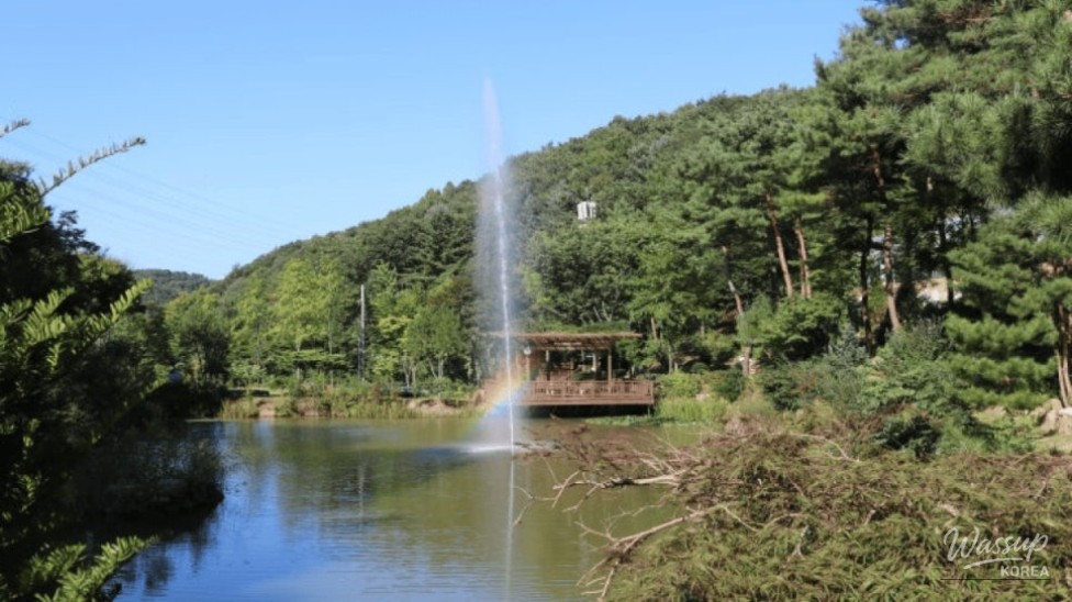 Discovering the Serenity of Nanam Arboretum_03