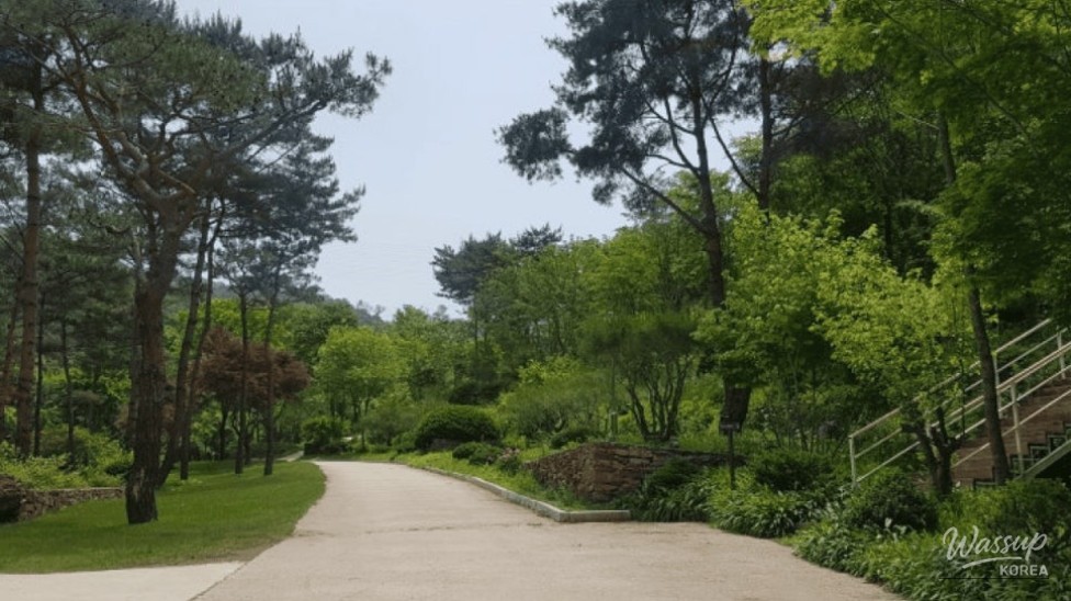 Discovering the Serenity of Nanam Arboretum_04