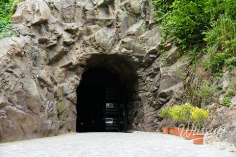 Recommended Summer Travel Destinations in Chungbuk: From Jangnyeongsan Forest Cave to Geumcheon Valley_04