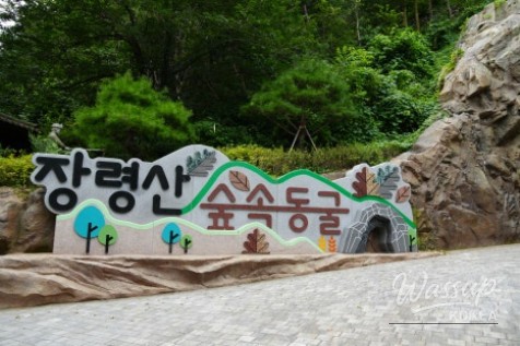 Recommended Summer Travel Destinations in Chungbuk: From Jangnyeongsan Forest Cave to Geumcheon Valley_03