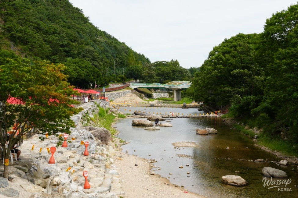 Recommended Summer Travel Destinations in Chungbuk: From Jangnyeongsan Forest Cave to Geumcheon Valley_02