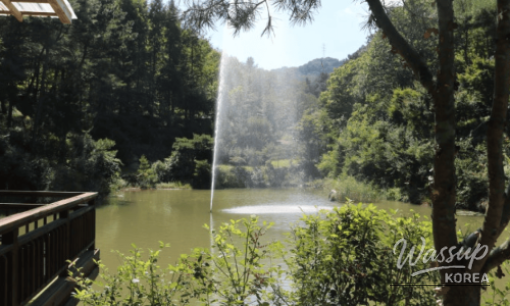 Exploring the Scenic Coastal Line of Busan: Yeongdo and Oryukdo_06
