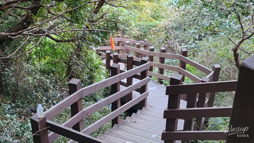 Exploring the Scenic Coastal Line of Busan: Yeongdo and Oryukdo_05