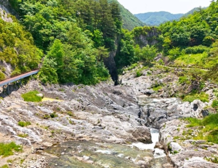 Discovering the Hidden Wonders of Taebaek Gumunso float