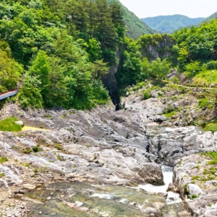 Discovering the Hidden Wonders of Taebaek Gumunso5001