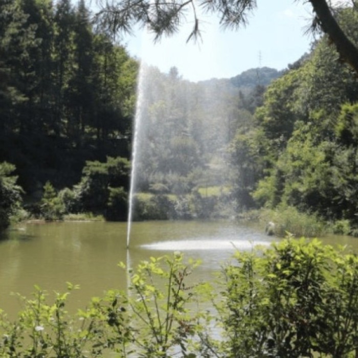 Discovering the Serenity of Nanam Arboretum4995