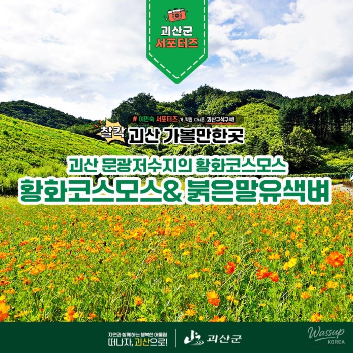 Exploring the Vibrant Colors of Geosan's Agricultural Landscape5003
