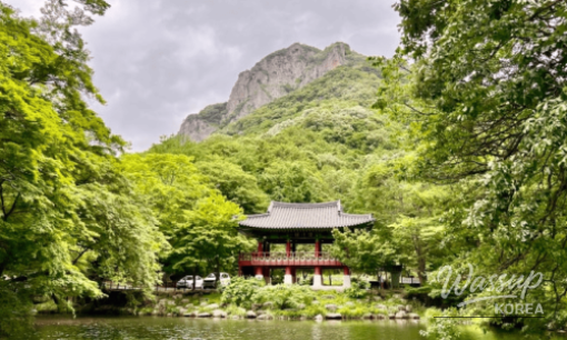 Discover Hiker Ground: A Cool Indoor Retreat in Seoul_06