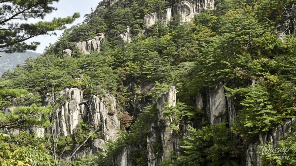 Discover the Majestic Duta Mountain Canyon in Donghae_03
