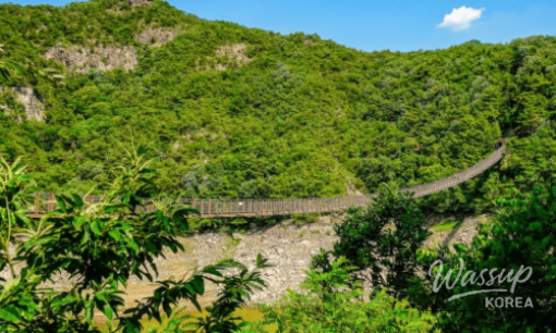 Discover the Majestic Duta Mountain Canyon in Donghae_05