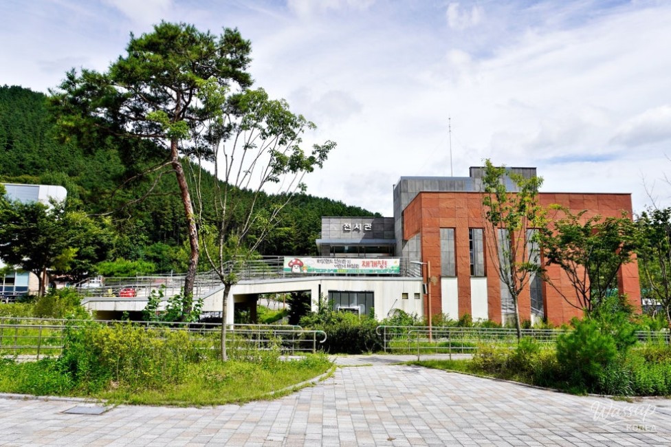 Goesan Mushroom Land Exhibition Hall Reopens_03
