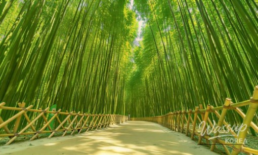 Exploring the Serene Beauty of Seoramjeong Temple and Chilsun Valley_08