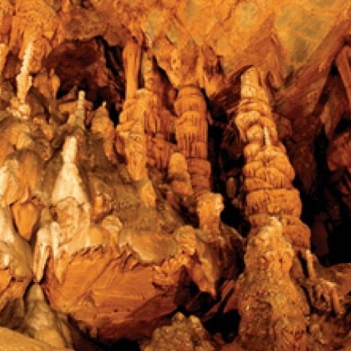 Exploring Pyeongchang's Baengnyeong Cave: A Unique Adventure5009