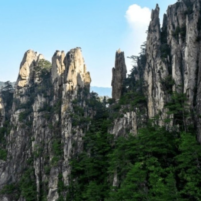 Discover the Majestic Duta Mountain Canyon in Donghae5006