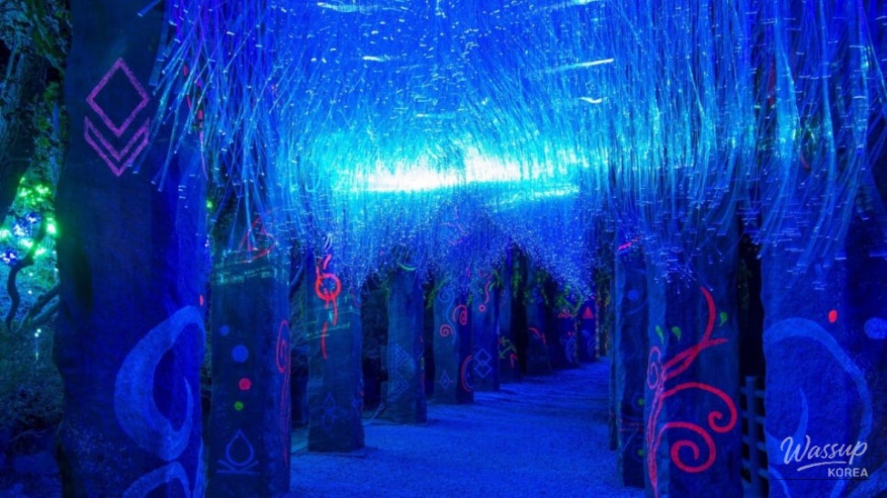 Exploring Tongyeong's Diphirang: A Magical Nighttime Experience_02