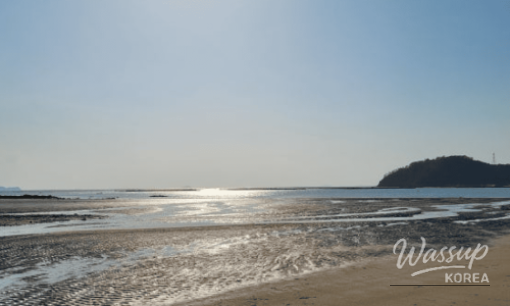 Refreshing Summer Getaways in Chungbuk_06