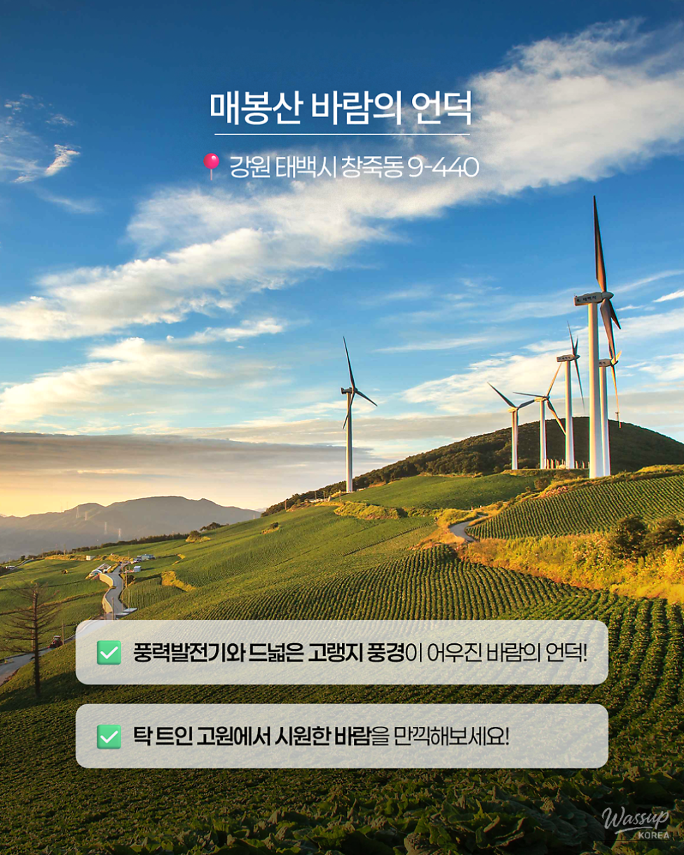 Exploring the Winds of Taebaek: Three Must-Visit Destinations_02