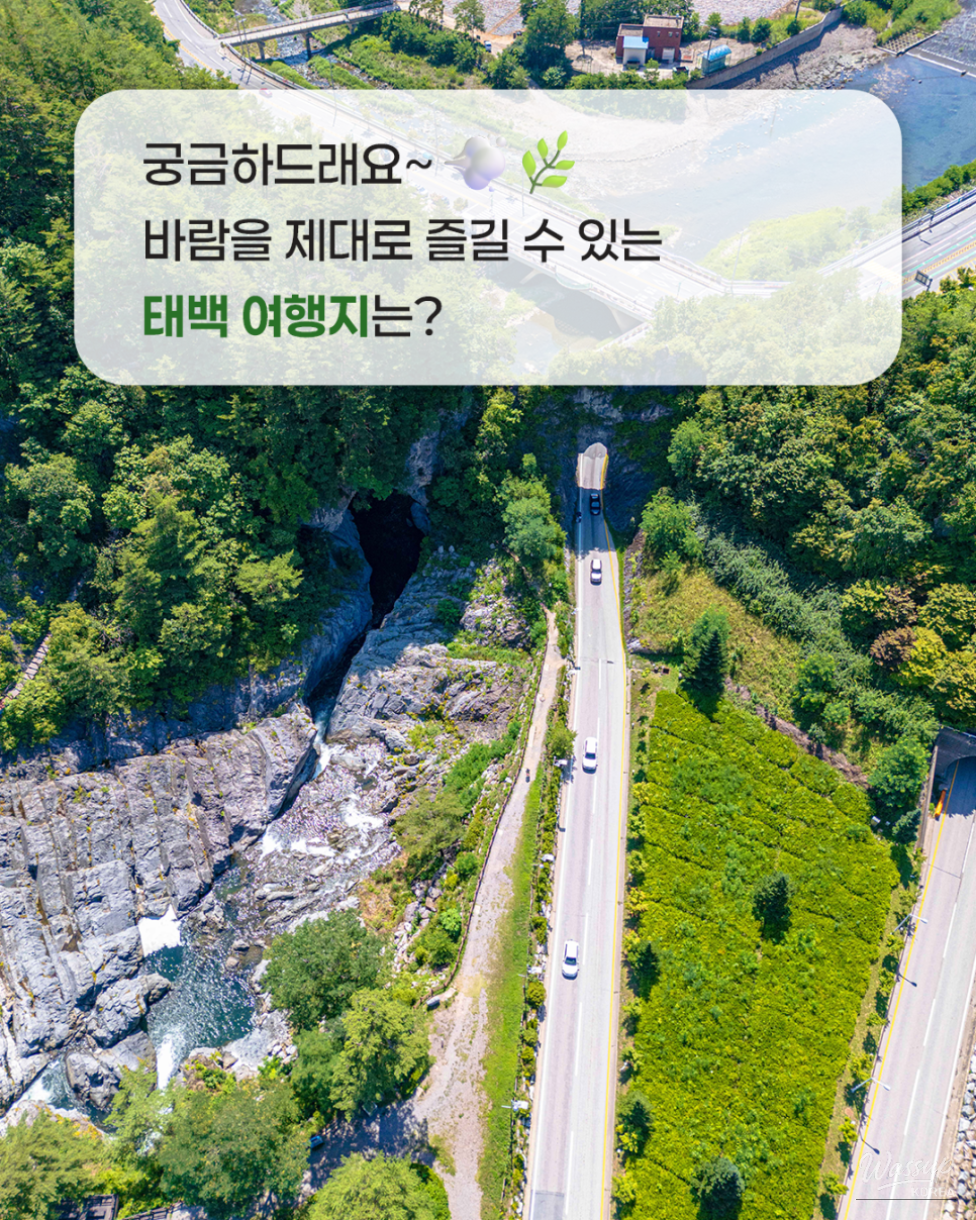 Exploring the Winds of Taebaek: Three Must-Visit Destinations_01
