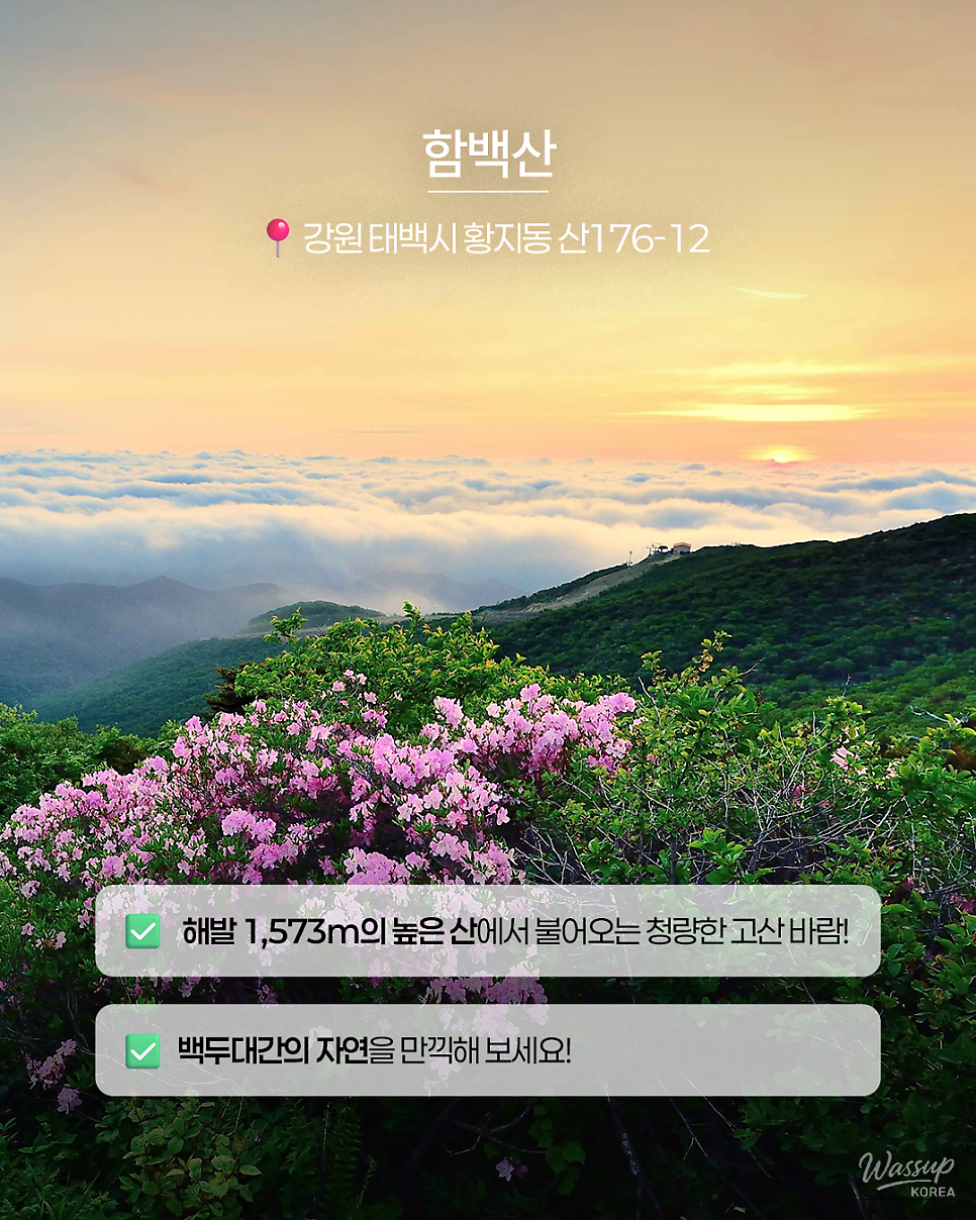 Exploring the Winds of Taebaek: Three Must-Visit Destinations_03