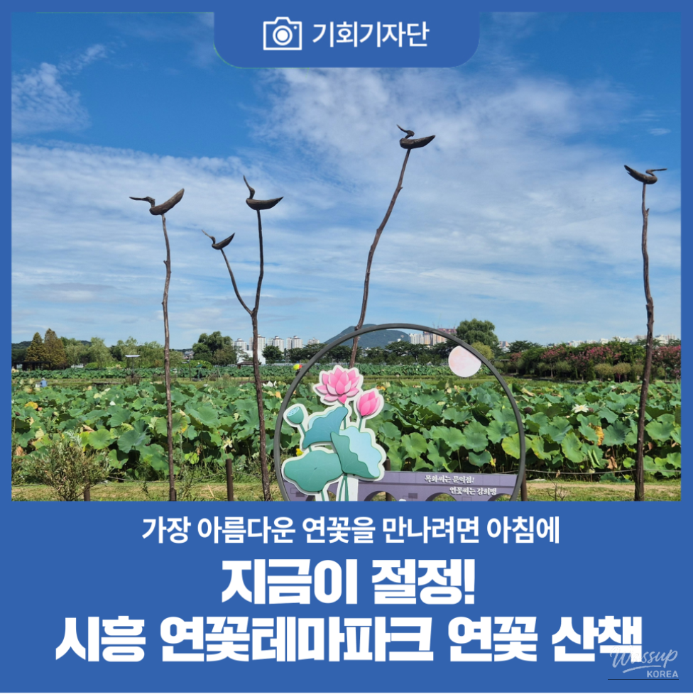 Exploring the Beauty of Siheung Lotus Theme Park_01
