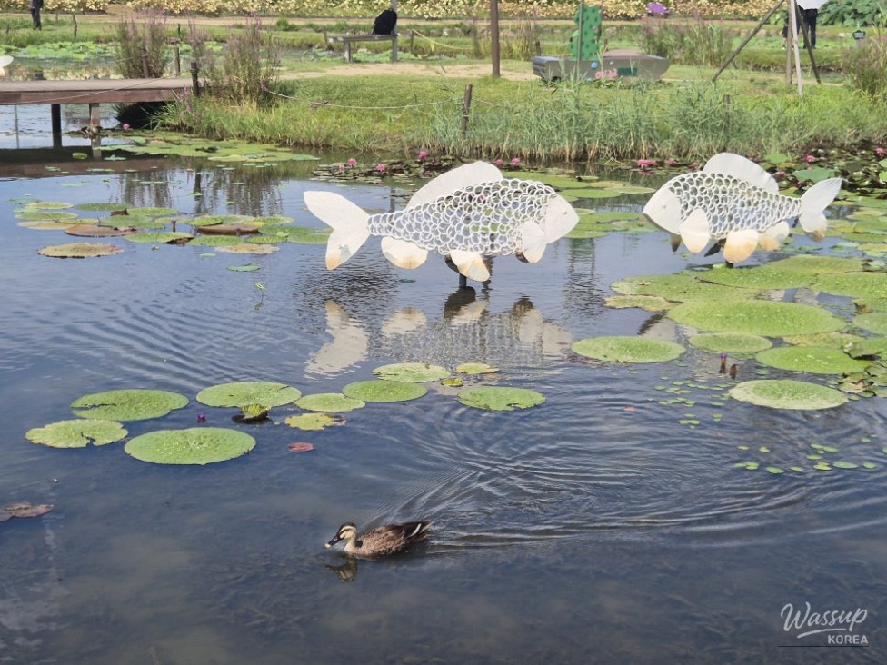 Exploring the Beauty of Siheung Lotus Theme Park_07