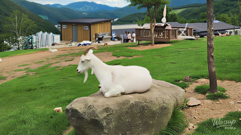 Escape the Summer Heat: Discover the Cool Retreats of Taebaek_04
