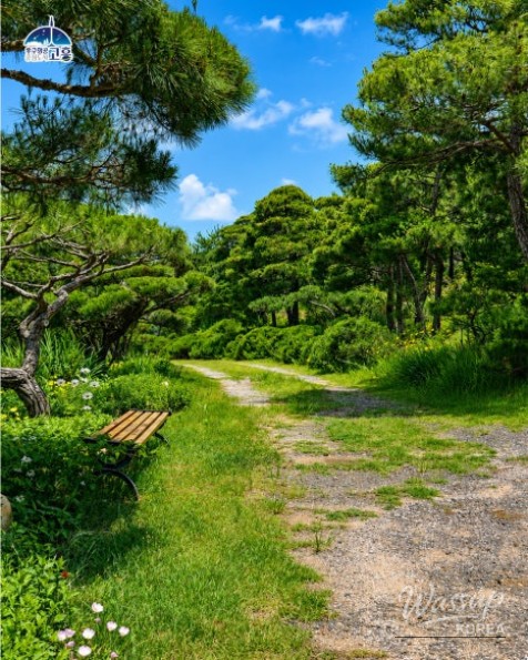 Discover the Beautiful Private Gardens of Goheung_08
