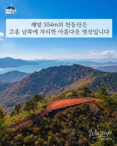 Exploring Cheondongsan Mountain and Geumtap Temple_02
