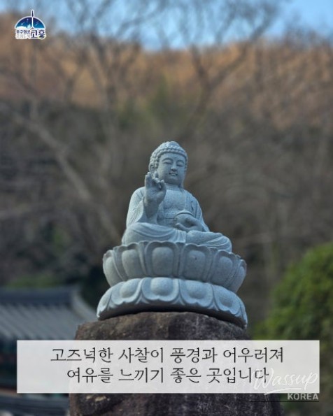 Exploring Cheondongsan Mountain and Geumtap Temple_06