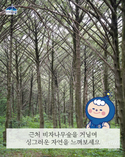 Exploring Cheondongsan Mountain and Geumtap Temple_08
