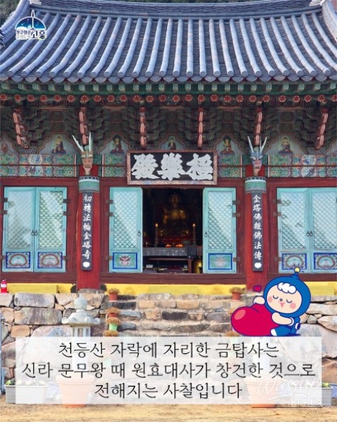 Exploring Cheondongsan Mountain and Geumtap Temple_05
