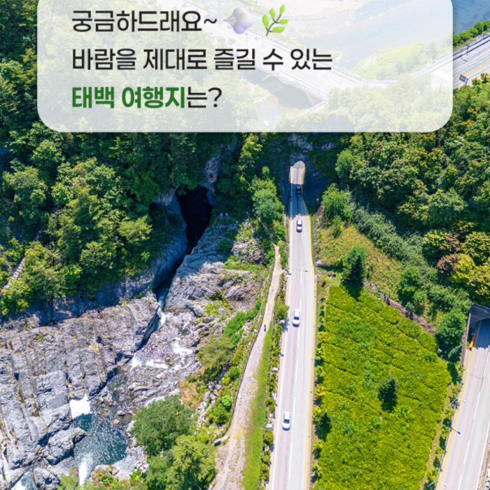 Exploring the Winds of Taebaek: Three Must-Visit Destinations5032