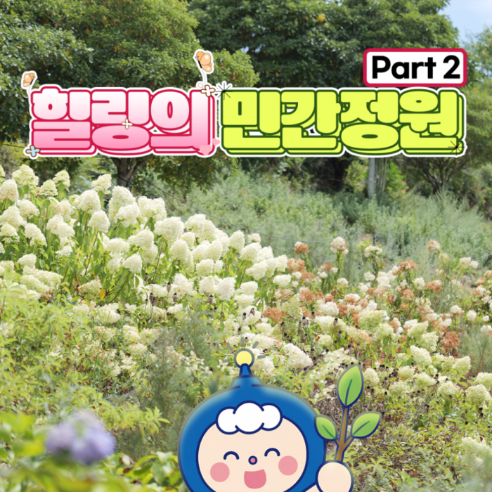 Discover the Beautiful Private Gardens of Goheung1636