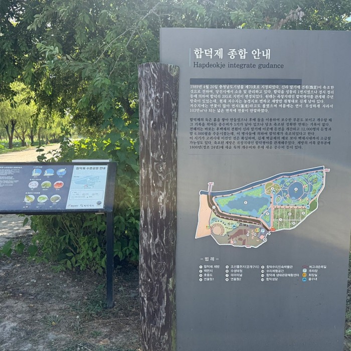 Discovering the Beauty of Dangjin Hadukje5038