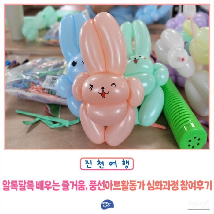 My Experience with the Balloon Art Activist Program5037